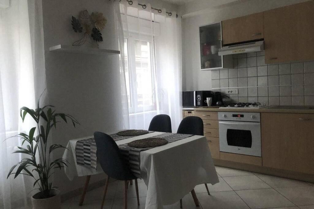 Cosy Appartement Complet Centre-Ville Монбельяр Экстерьер фото